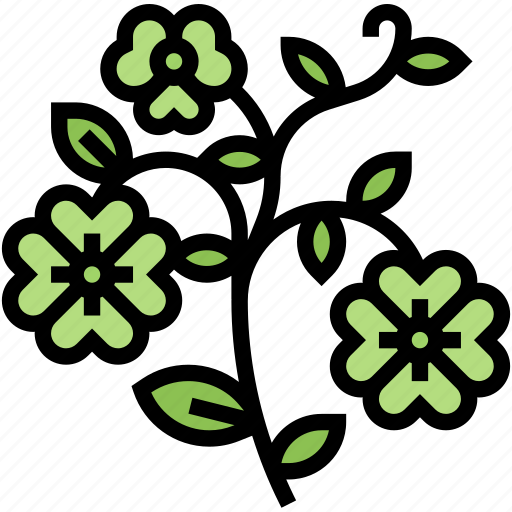 Clover, shamrock, leaf, lucky, celebration icon - Download on Iconfinder