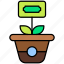growth, money, plant, tree 
