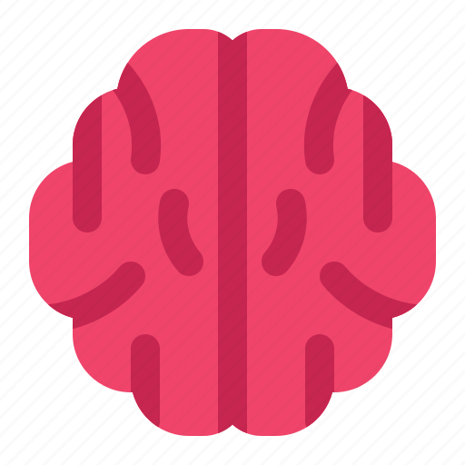 Brain, organ, thinking, intelligence, human icon - Download on Iconfinder