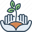 ecology, environment, flora, nature, plant, plant growing on hands palms, protection