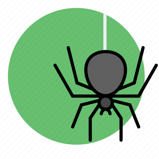 Animal, evil, halloween, insect, spider icon - Download on Iconfinder
