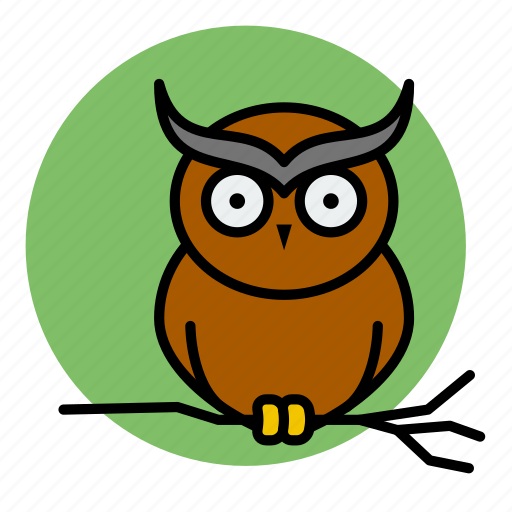 Animal, evil, halloween, owl, witch icon - Download on Iconfinder