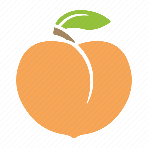 Apricot, food, fruit, leaf, peach, sticker icon - Download on Iconfinder