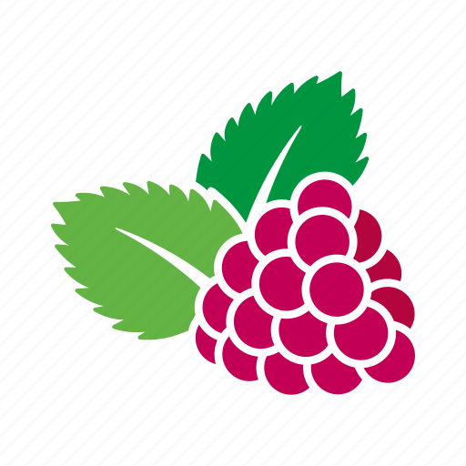 Food, fruit, leaves, raspberry, sticker icon - Download on Iconfinder