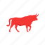 animal, bull market, red bull, stock market 
