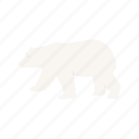 bear, bear market, brown bear, grizzly bear 