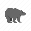 bear, bear market, black bear, grizzly bear 