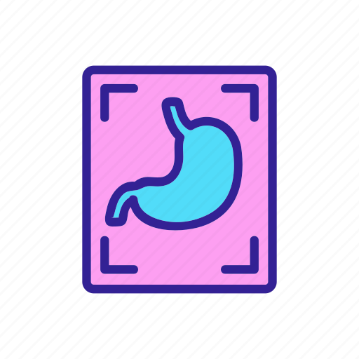 Care, clinic, contour, diagnosis, doctor, health, stomach icon - Download on Iconfinder