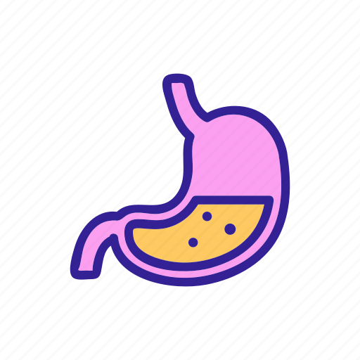Anatomy, body, human, man, medicine, stomach icon - Download on Iconfinder