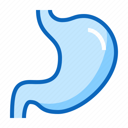 Belly, digestion, gastroenterologist, organ, stomach icon - Download on Iconfinder