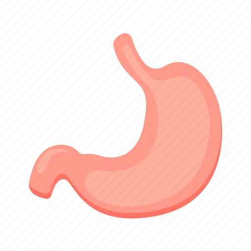 Digestive, flat, icon, stomach, digestion, pain, symptom icon - Download on Iconfinder
