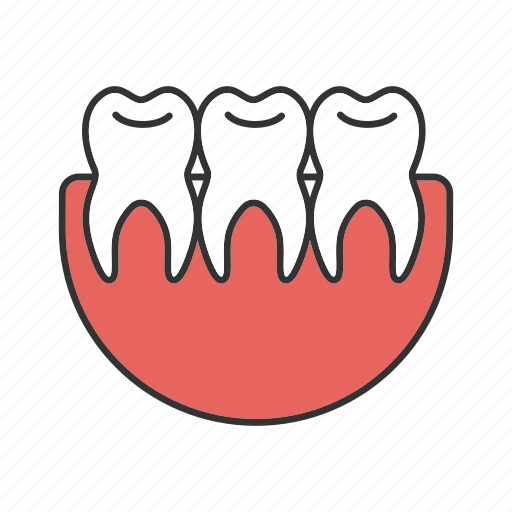 Dentition, healthy, oral cavity, stomatology, teeth, teething, tooth icon - Download on Iconfinder