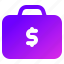 bag, money, cash, currency 