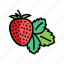 strawberry, leaf, freshness, ripe, berry, natural 