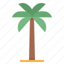 beach, coconut, palm, tree