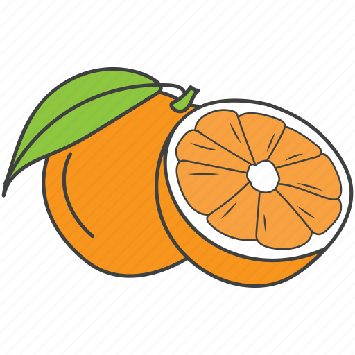 Citrus, diet, food, fruit, orange icon - Download on Iconfinder