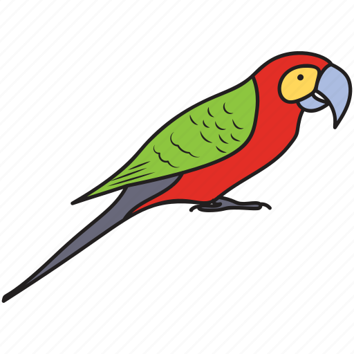 Bird, colorful bird, flying bird, macaw, parrot, pet bird icon - Download on Iconfinder