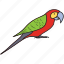 bird, colorful bird, flying bird, macaw, parrot, pet bird 