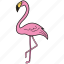animal bird, crane bird, heron, pelican, sandhill crane 