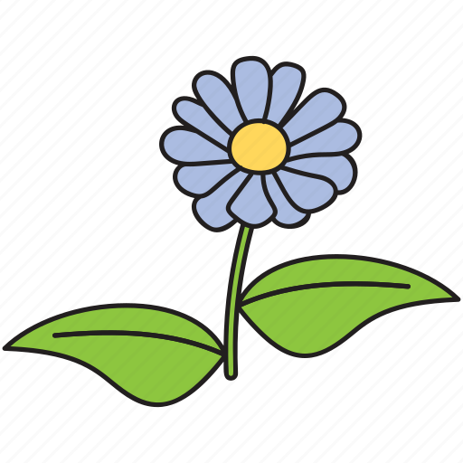 Daisy, flower, fragrant flower, garden flower, nature icon - Download on Iconfinder