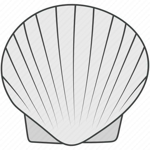Conch, mollusc, oyster, scallop, seafood, seashell icon - Download on Iconfinder