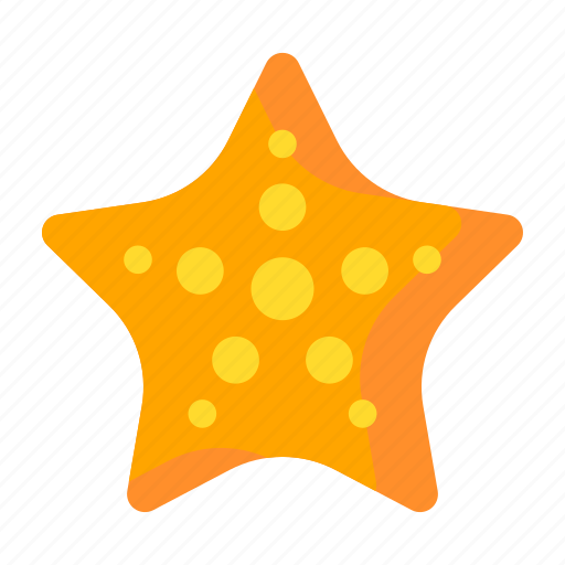 Holiday, starfish, summer, tourism, vacation icon - Download on Iconfinder