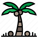 beach, nature, palm, summer, tree