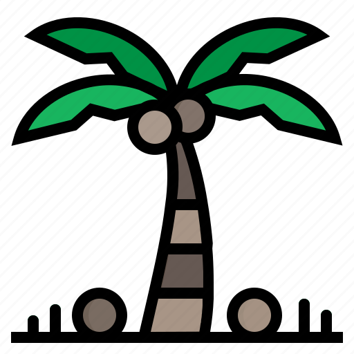 Beach, nature, palm, summer, tree icon - Download on Iconfinder