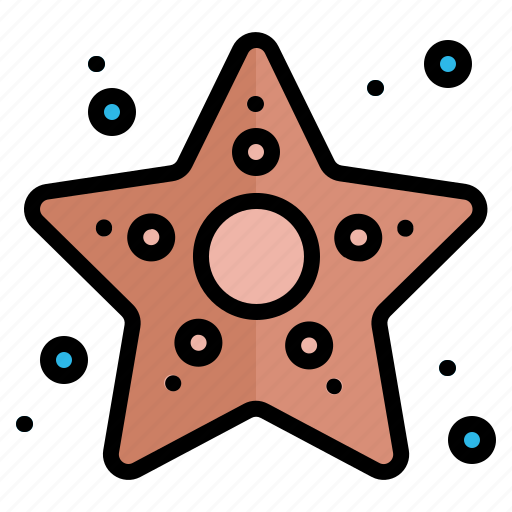 Fish, sea, star, starfish, summer icon - Download on Iconfinder