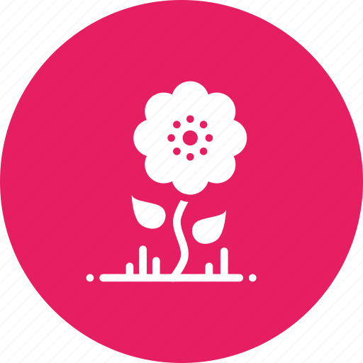 Bloom, blossom, flower, spring, summer, sunflower, hygge icon - Download on Iconfinder