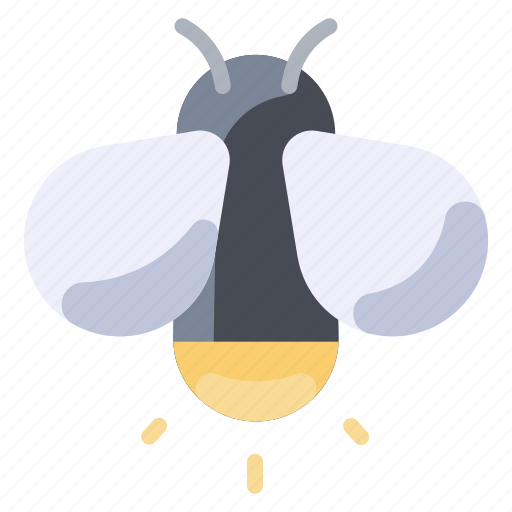 Animal, bug, firefly, fly, light, summer icon - Download on Iconfinder