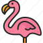 flamingo, bird, animal, wildlife, zoo 