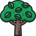 tree, plant, wood, forest, green, environment