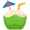 coconut, drink, juice, summer, fruit, beverage