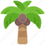 coconut, tree, tropical, palm, plant, fruit 