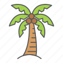 palm, tree, coconut, tropical, tourism, travel, nature