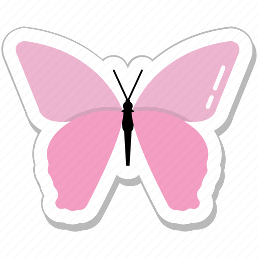 Animal, butterfly, insect, moth, summer icon - Download on Iconfinder