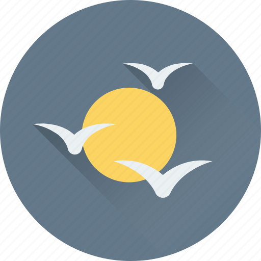 Birds, morning, sight, sun, view icon - Download on Iconfinder