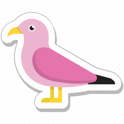 Animal, bird, dove, pigeon, sparrow icon - Download on Iconfinder