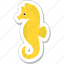 animal, creature, hippocampus, sea, seahorse 