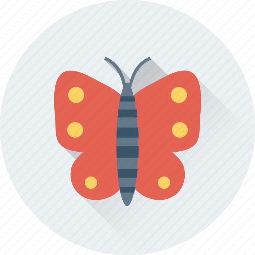Animal, butterfly, insect, moth, summer icon - Download on Iconfinder