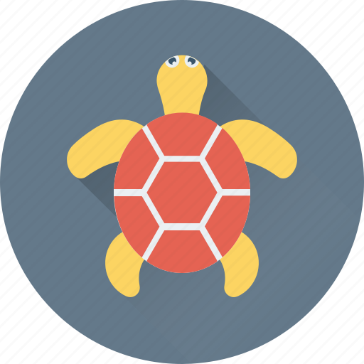 Animal, reptile, terrapin, tortoise, turtle icon - Download on Iconfinder