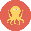 animal, cephalopod, octopus, pulpo, seafood