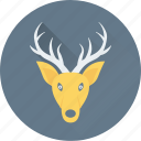 animal, deer, elk, reindeer, rudolf