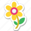blossom, daisy, floral, nature, sunflower 