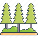 forest, tree, nature, plant, ecology, pine, green