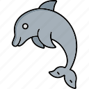 cetacean, dolphin, mammal fish, sea animal