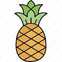 ananas, ananas comosus, organic food, pineapple