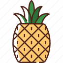 pineapple, fruit, food, healthy, fresh, tropical, summer