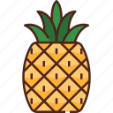 pineapple, fruit, food, healthy, fresh, tropical, summer